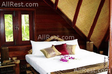 Coconut Tropicana 8
